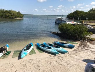 Best Sanibel Island Kayak Launch